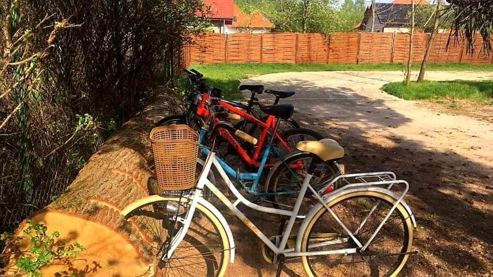 Miodowy Zakatek Caloroczne Domki I Pokoje Przy Suntago, Deepspot, Pyszne Sniadania, Grill, Ognisko Mszczonów Eksteriør bilde