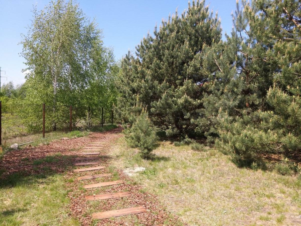 Miodowy Zakatek Caloroczne Domki I Pokoje Przy Suntago, Deepspot, Pyszne Sniadania, Grill, Ognisko Mszczonów Eksteriør bilde
